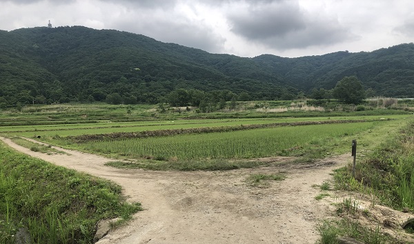 宝篋山の常願寺コース、極楽寺コースの分岐点