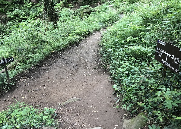 極楽寺コースから純平歩道へ