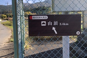 分岐点の表示