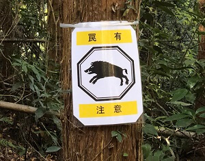 イノシシ注意ではなく、イノシシの罠注意