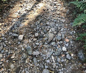 山口コースは序盤は石ごろごろ