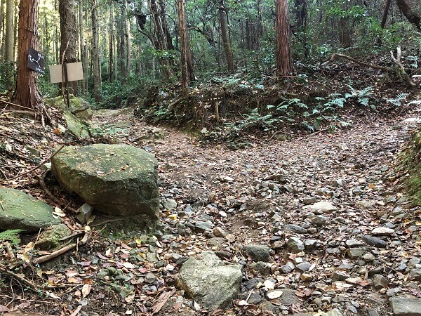 山口コース1と山口コース2の分岐点