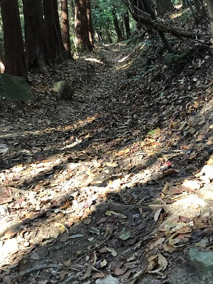 山口コース1の傾斜