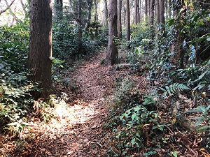 宝篋山の山口コース1の最後