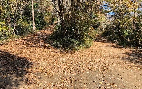 山口コース1とは思えない分岐点