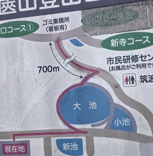 山口コース2への道