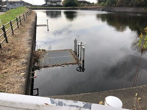 新寺コース行きの目印の池