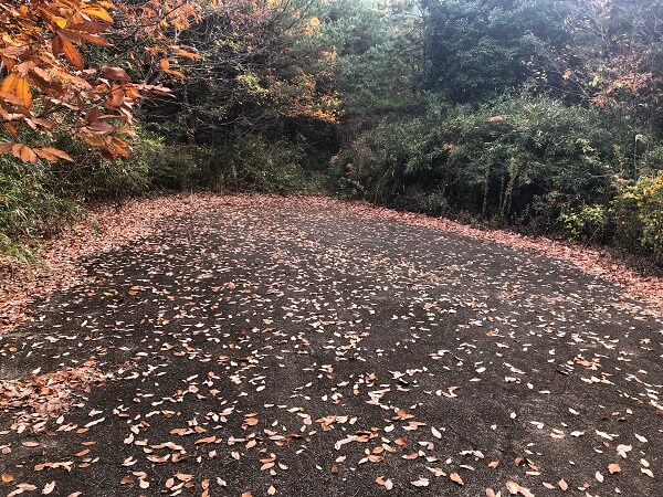 山口コース２の道が途絶えている