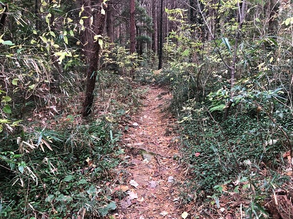 山口コース２は細道が続く