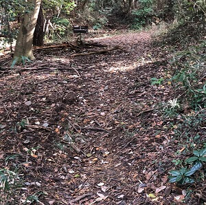 旧山口コース２から、新山口コース２へ合流