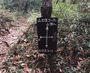 山口コース２の禁止区画