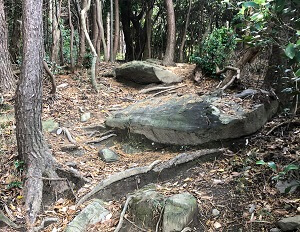 山口コース２の座って休憩できる岩