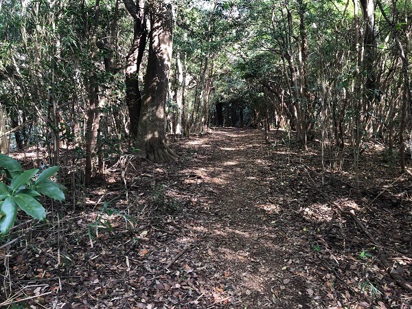 山口コース２の山頂ちかくは傾斜きつい