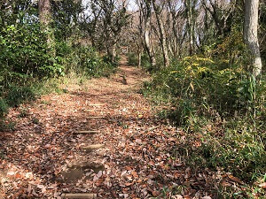 小田城コース最後の急な坂