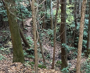 新寺コースの道