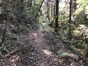 山口コース2の道が狭くなった