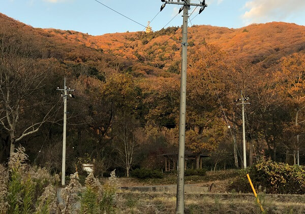 極楽寺コース山麓からの宝篋山は大きい