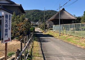 桜門がちらっと見える